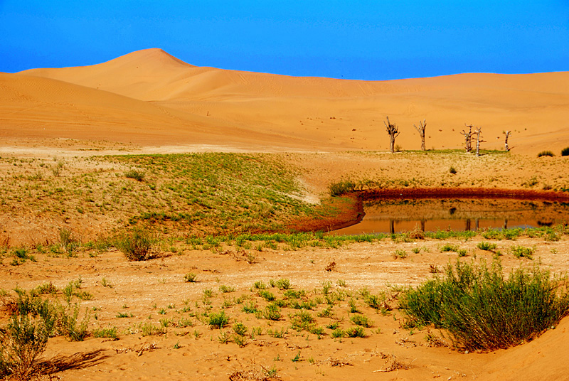 腾格里沙漠 (3).jpg