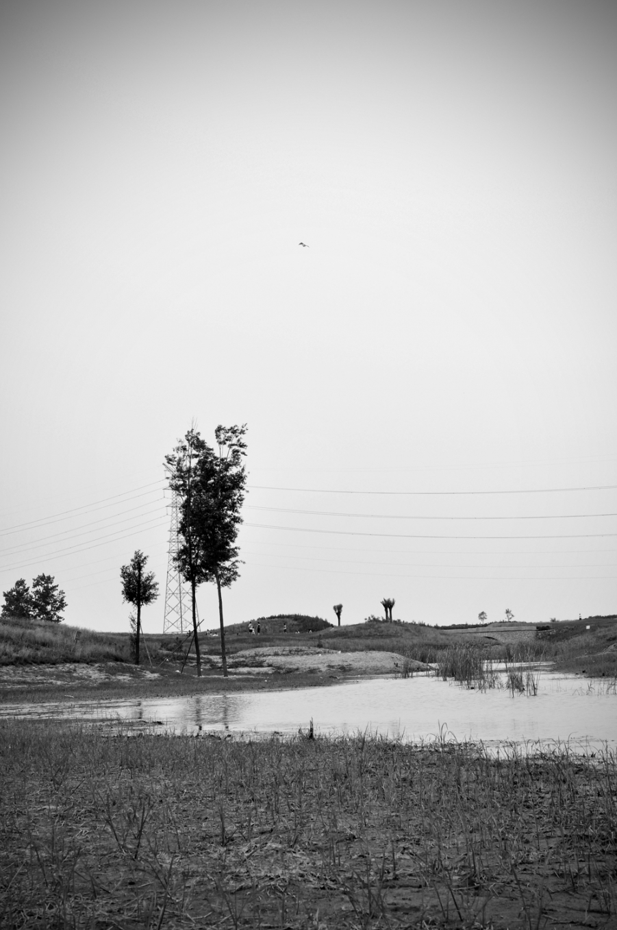 DSC_3955.jpg