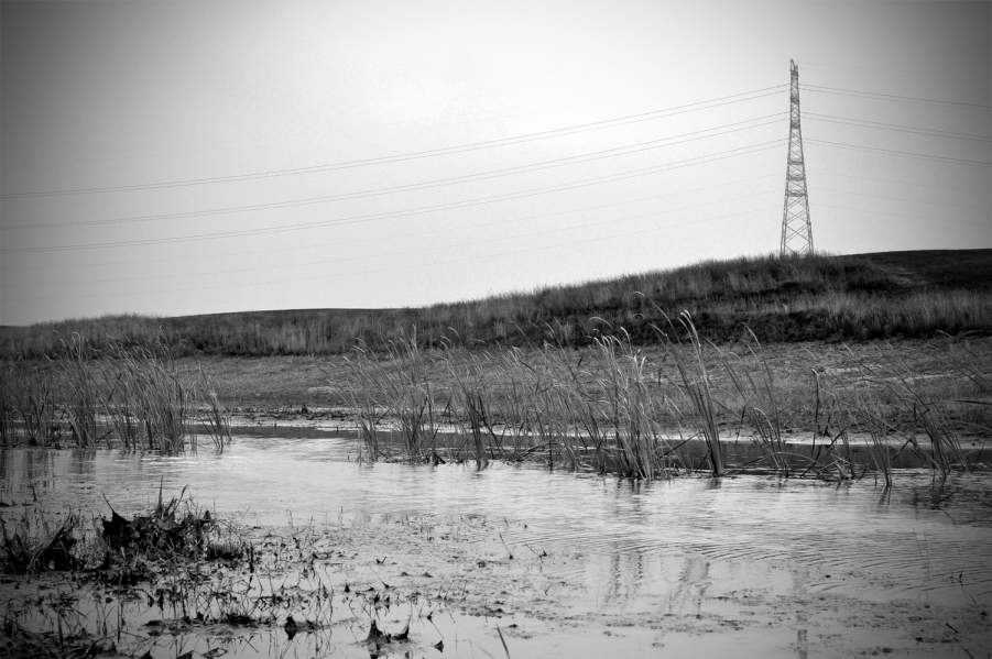 DSC_3957.jpg