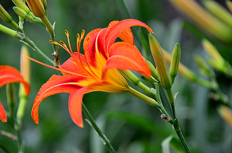 照片 008_副本.jpg