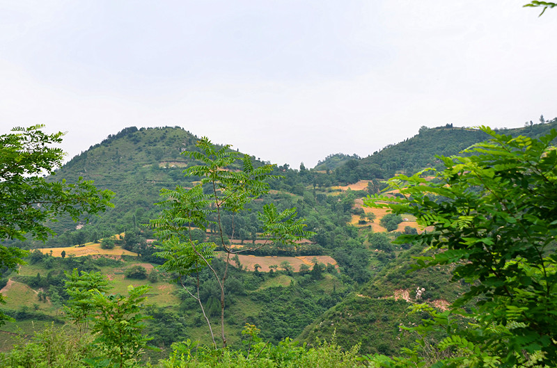 照片 012_副本.jpg