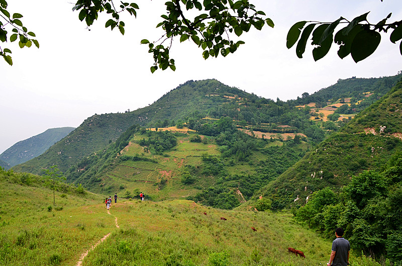 照片 056_副本.jpg