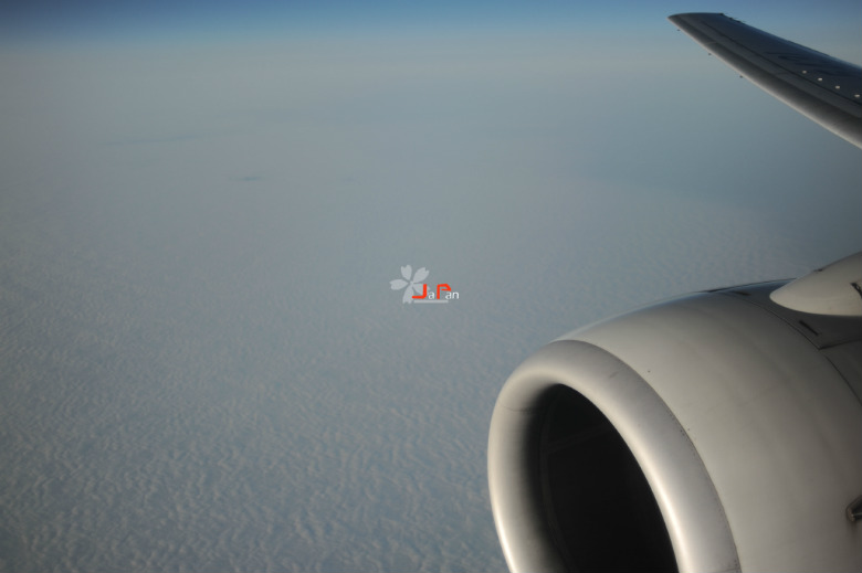 2627628_815791319_rotate.jpg