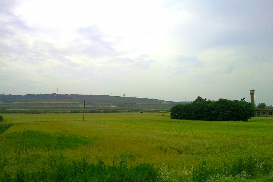 20120528159.jpg