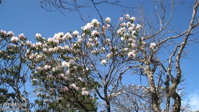 照片 016.jpg