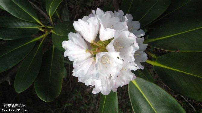 照片 035.jpg