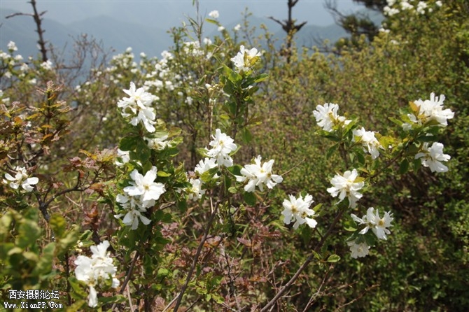 照片 042.jpg