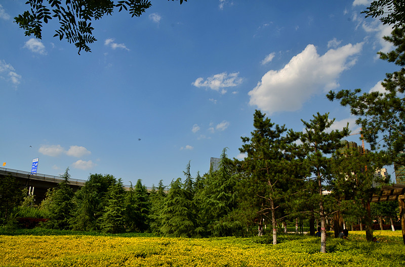 照片 032_副本.jpg