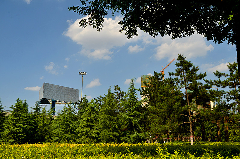 照片 040_副本.jpg