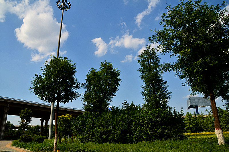 照片 044_副本.jpg