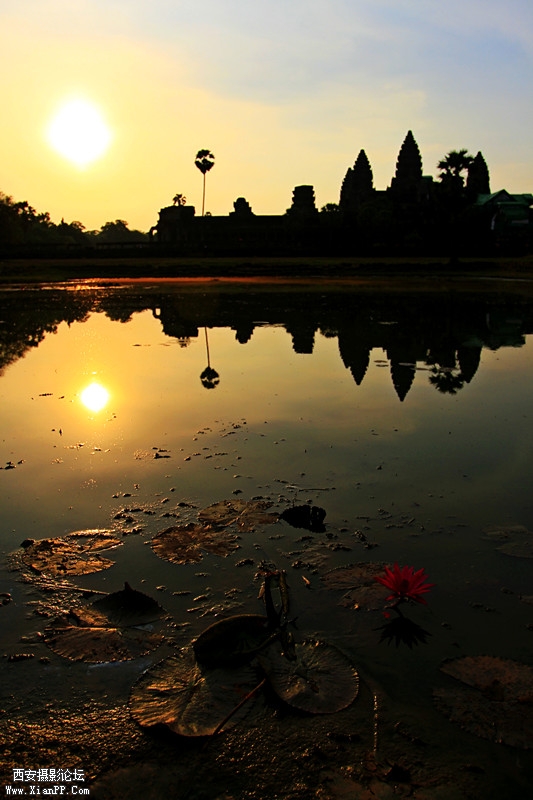 荷伴吴哥   作者：廉龙_副本.jpg