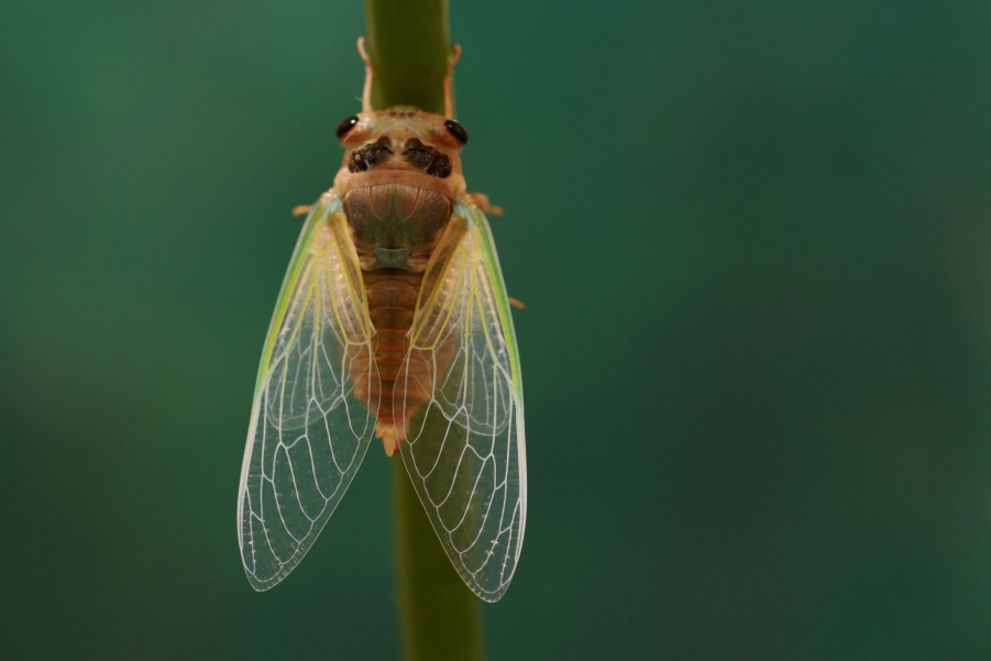 调整大小 IMG_8835g.jpg