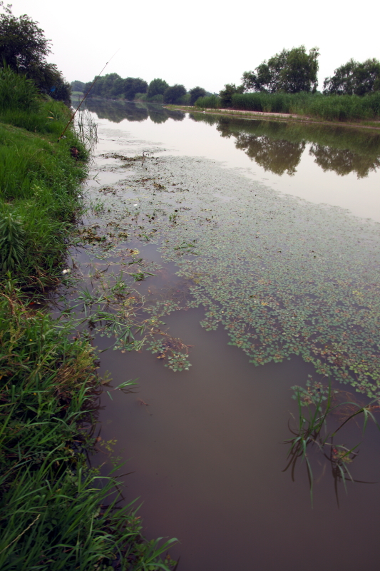 IMG_0042 拷贝01.JPG