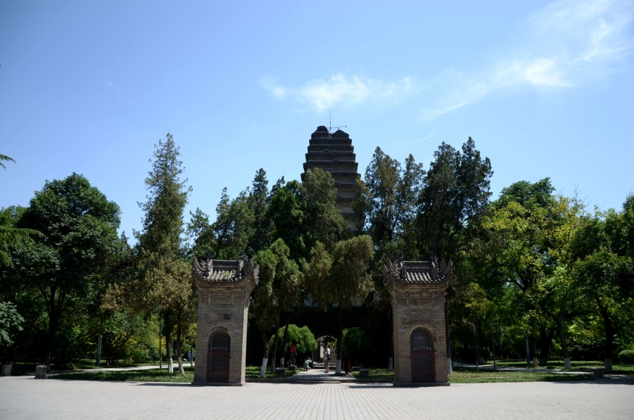 LYX_8689.JPG