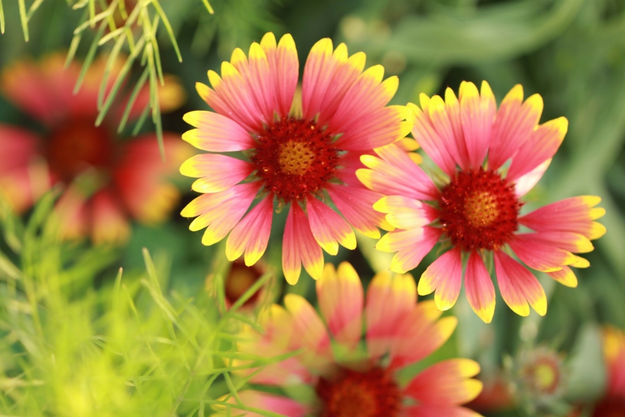 调整大小 IMG_9209.JPG