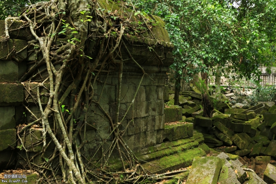 IG3A5462.jpg