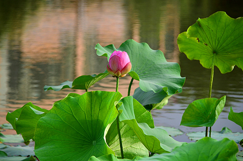 照片 035_副本.jpg