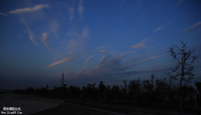 DPP_011888.JPG