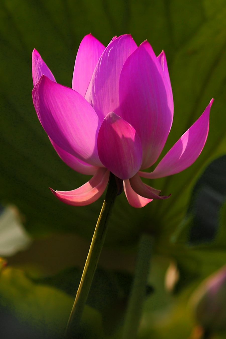 IMG_7799 拷贝.jpg