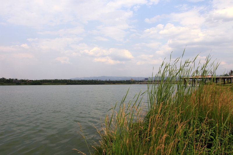 灞河湿地 005.jpg