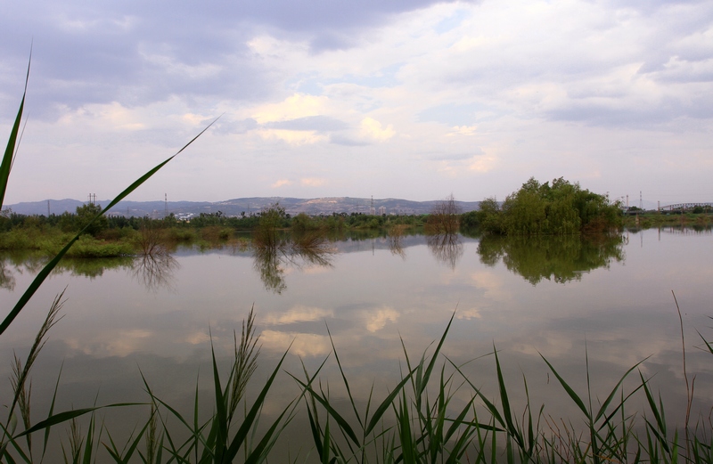 灞河湿地 037.jpg