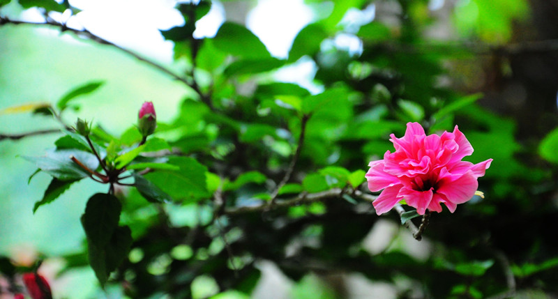 DSC_2010_副本.jpg