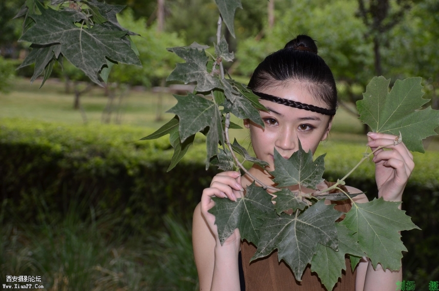 My Documents_DSC7170.JPG