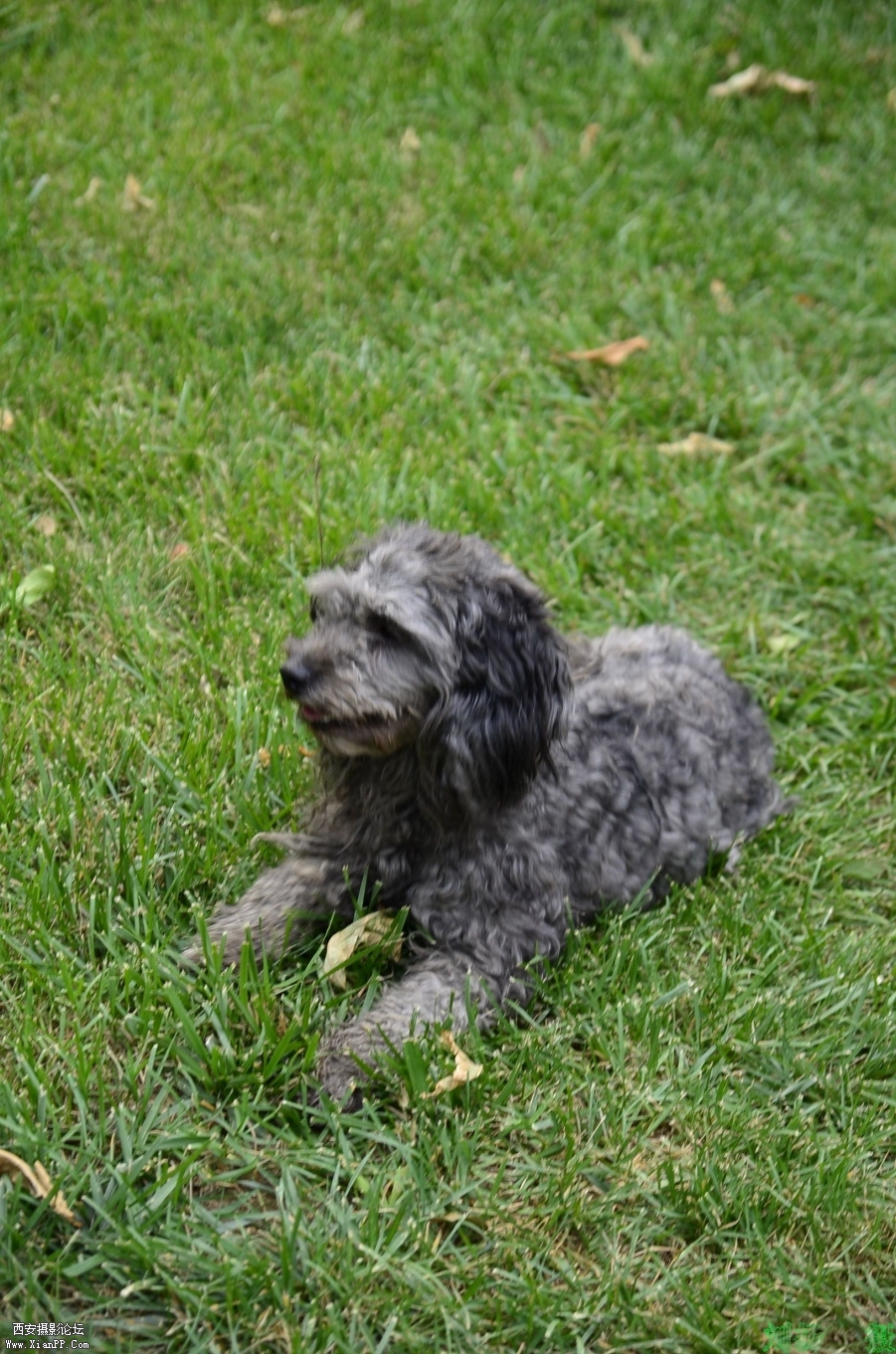 My Documents_DSC7183.JPG