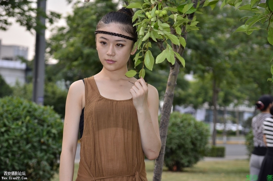 My Documents_DSC7121.JPG