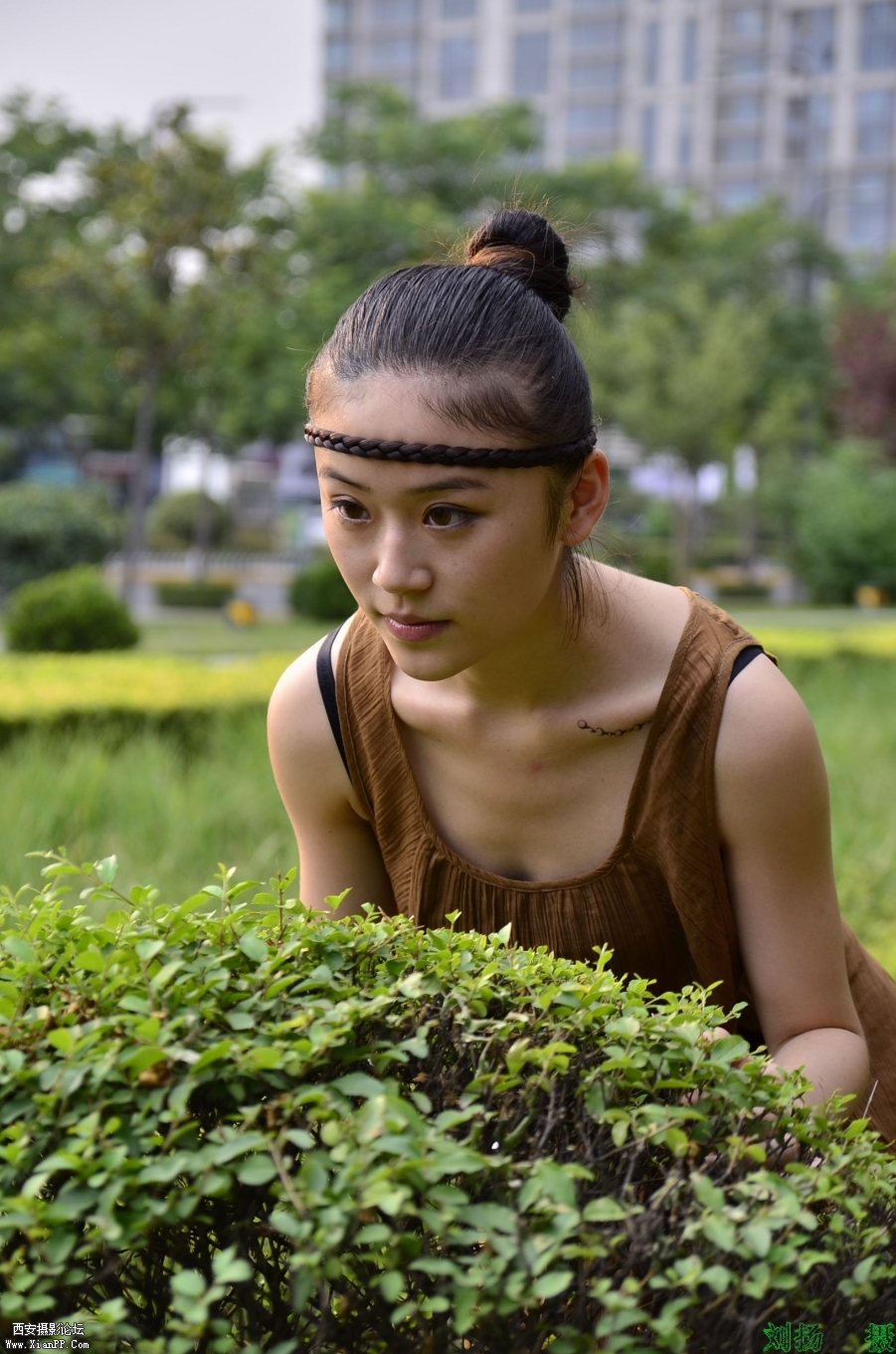 My Documents_DSC7016.JPG