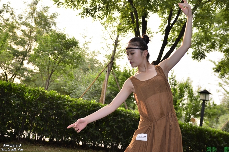 My Documents_DSC6996.JPG