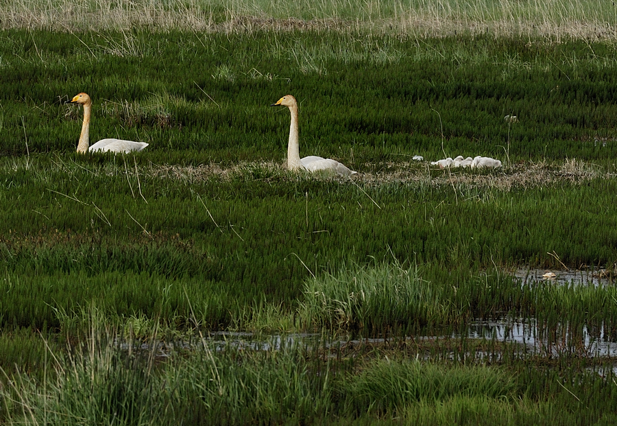A7.jpg