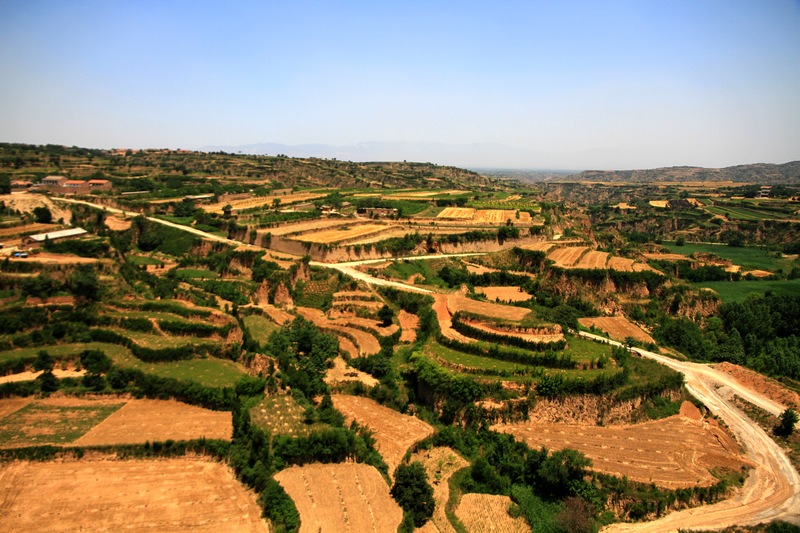 黄山旅游照片 738.jpg