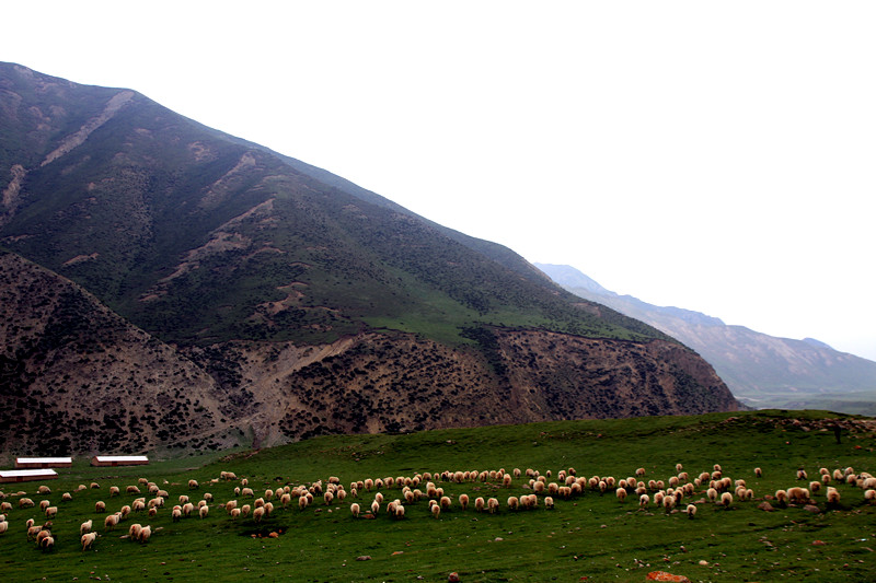 旅游 120_副本.jpg