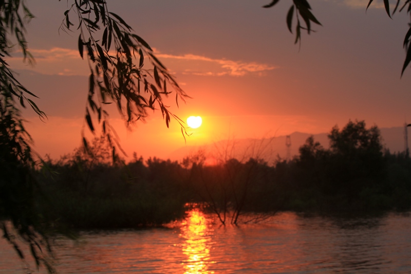 黄山旅游照片 1060.jpg