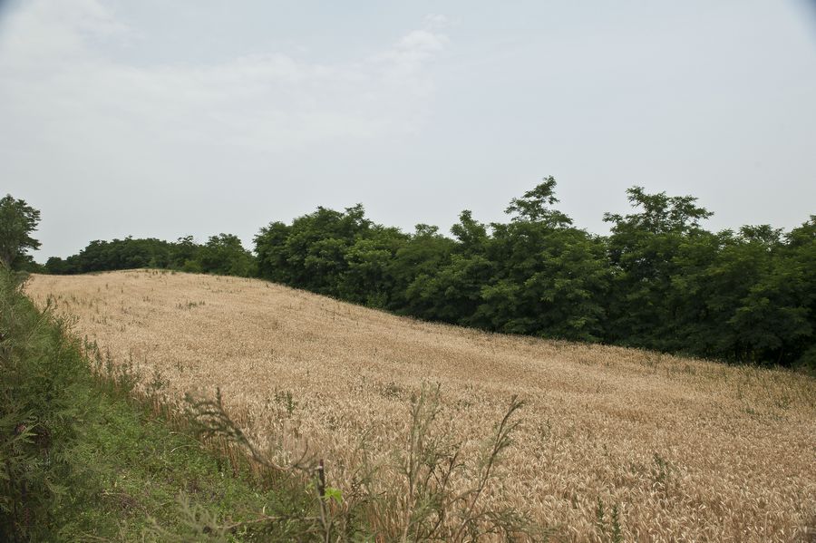 DSC_8276.jpg