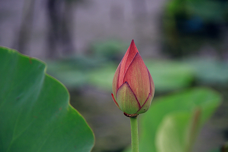 旅游 925_副本.jpg