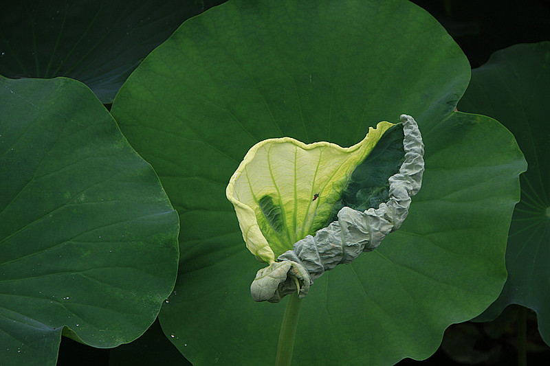 旅游 930_副本.jpg