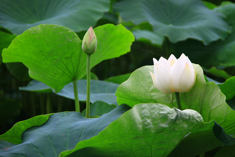 旅游 933_副本.jpg