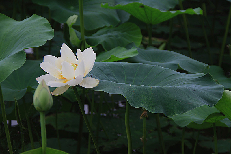 旅游 936_副本.jpg