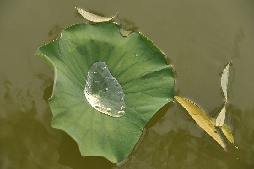 DSC_5846.JPG