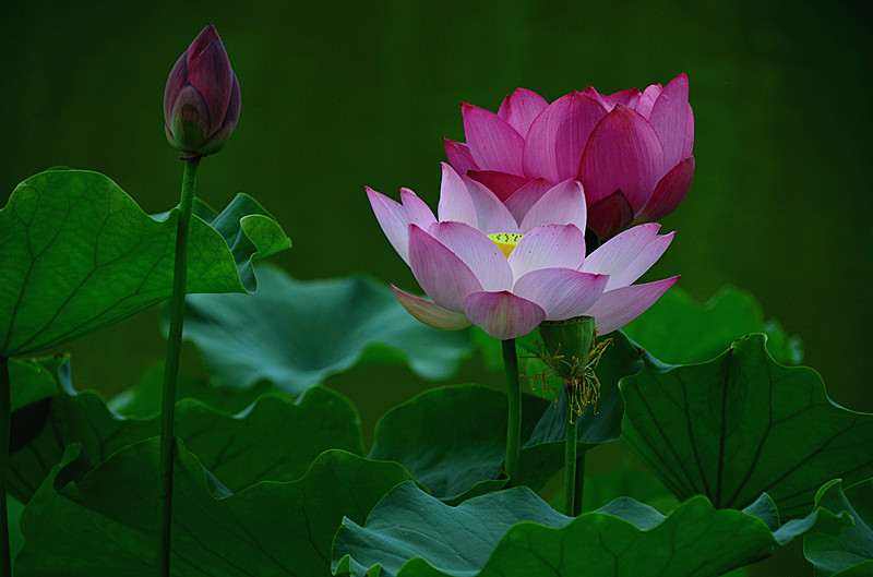 照片 027_副本.jpg