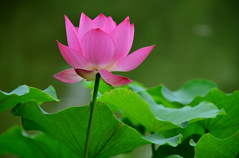 照片 067_副本.jpg