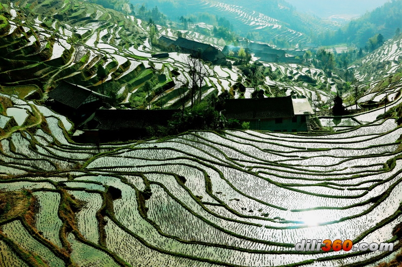 照片 076.jpg