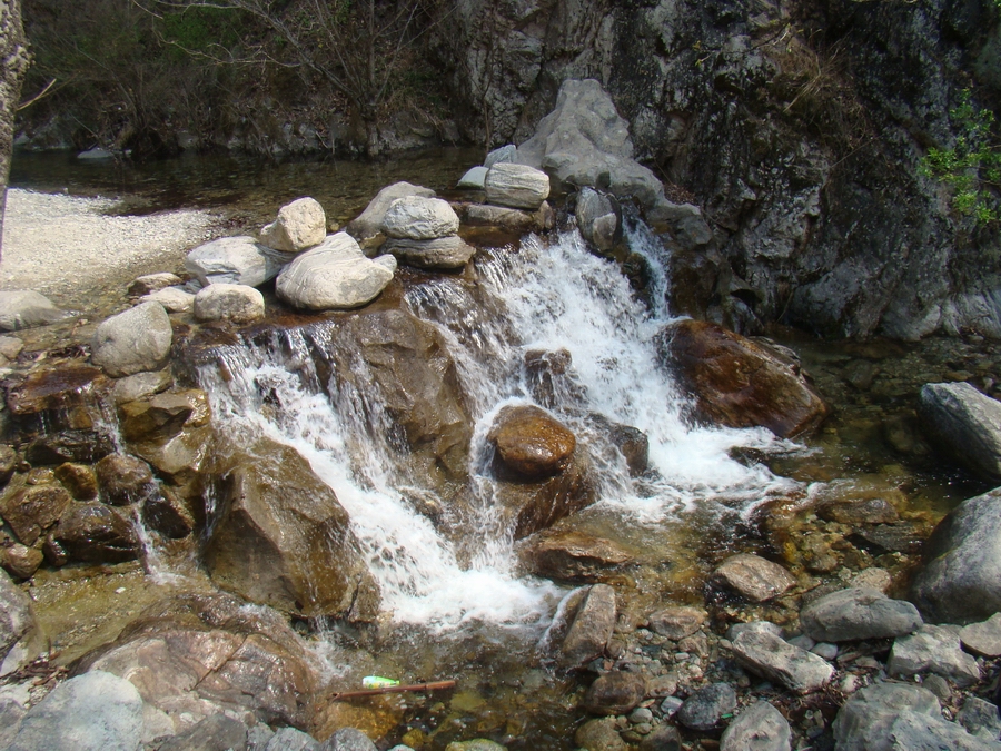 DSC02714.JPG