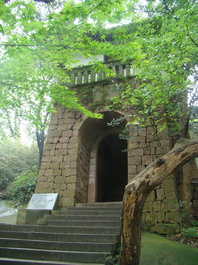DSC03346.JPG
