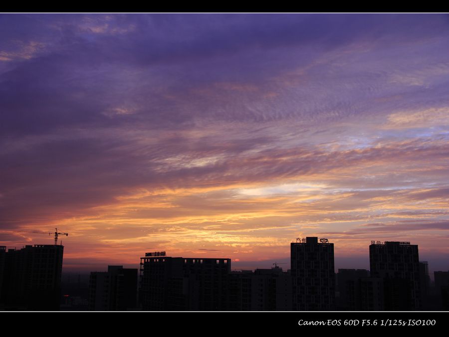 _MG_3790.JPG
