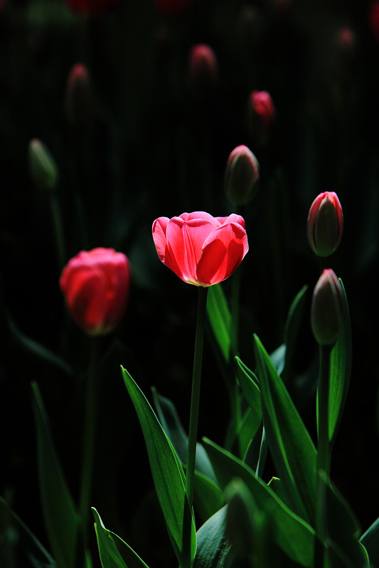 IMG_1583DPP_.jpg