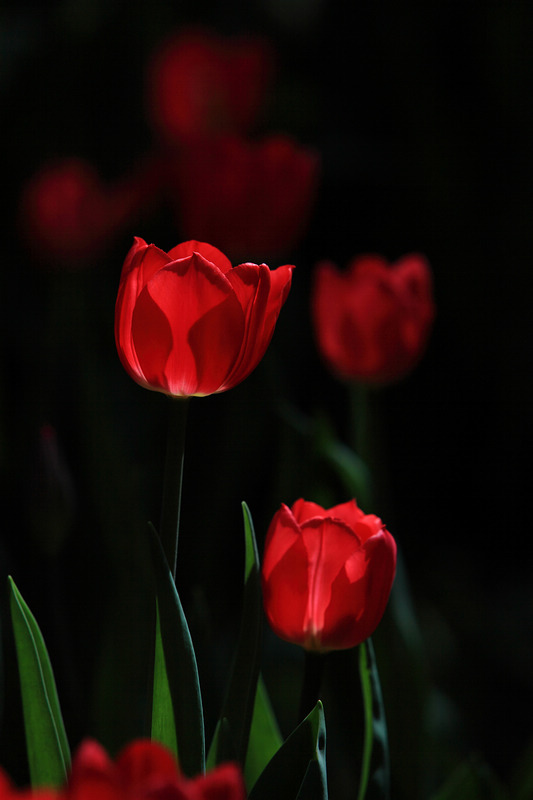 IMG_1733DPP_.jpg