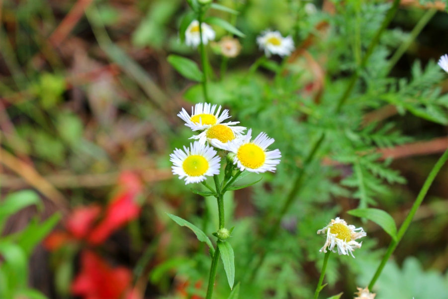 照片 035_meitu_7.jpg